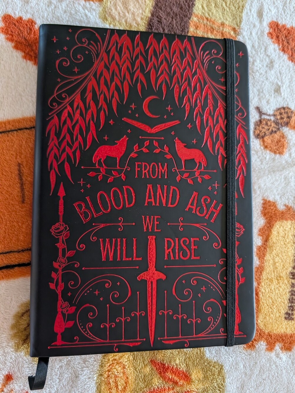 Fairyloot 'From Blood and Ash Book Journal